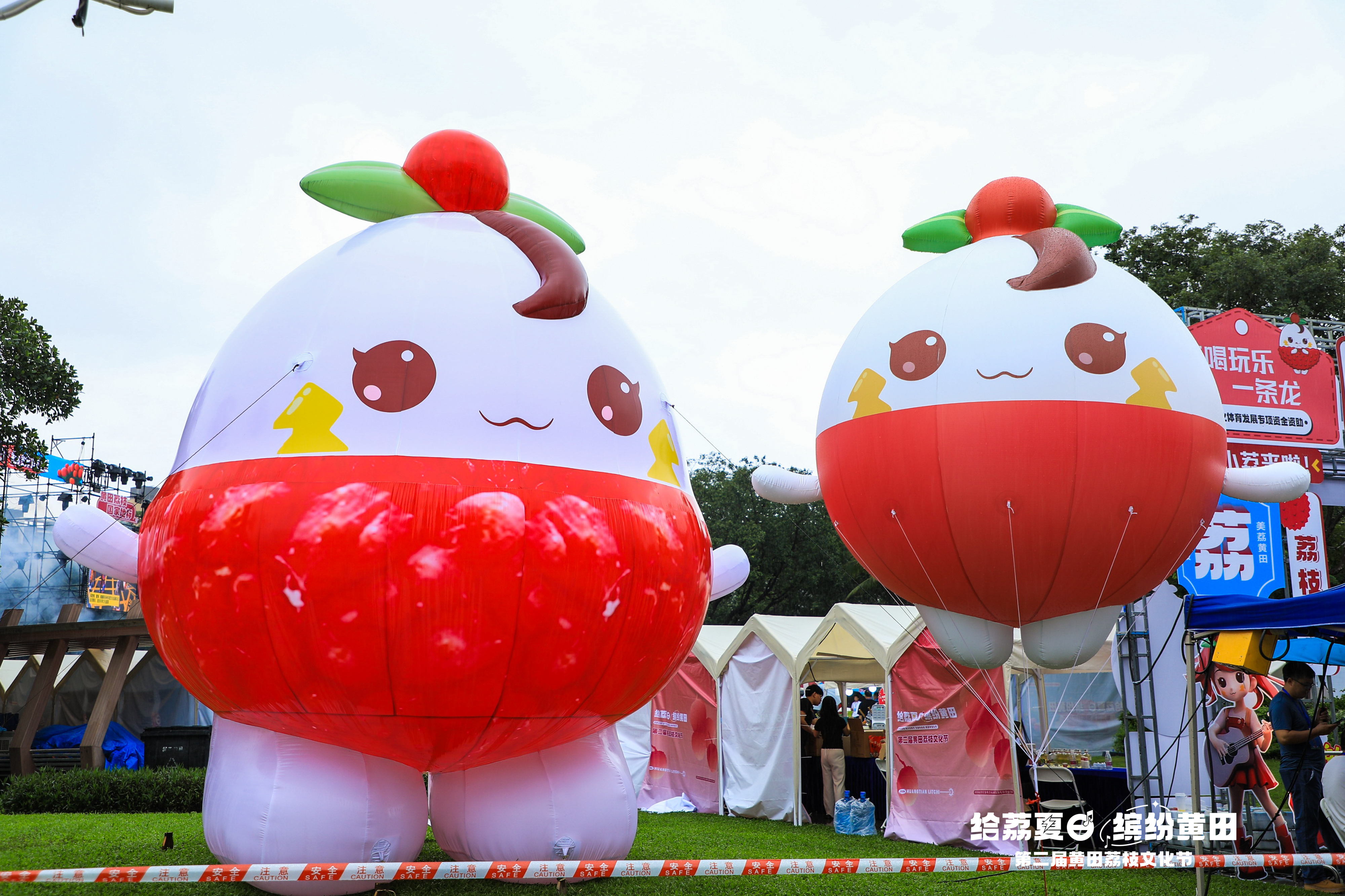 黄田荔枝IP黄小荔 黄田荔枝IP黄小荔